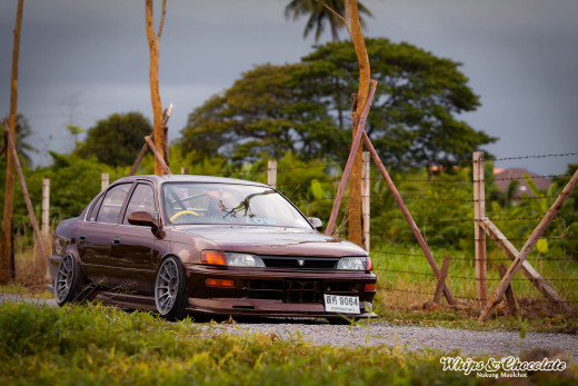 807697 (a): :3000x2000